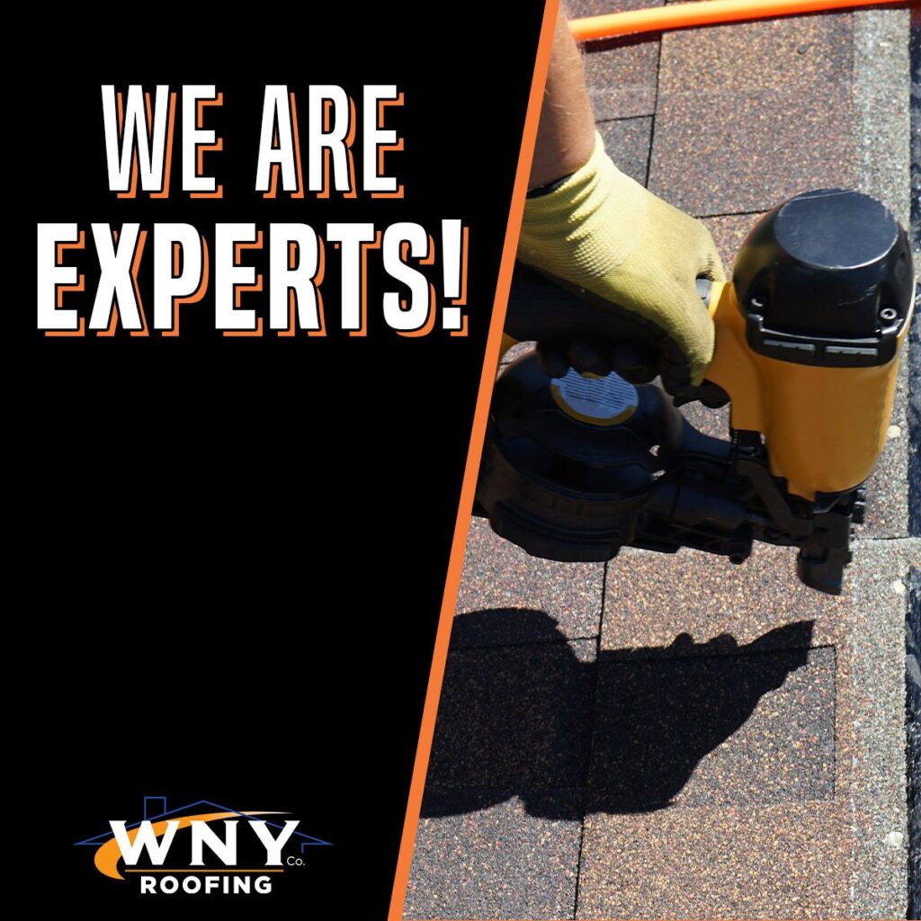 We are Experts!