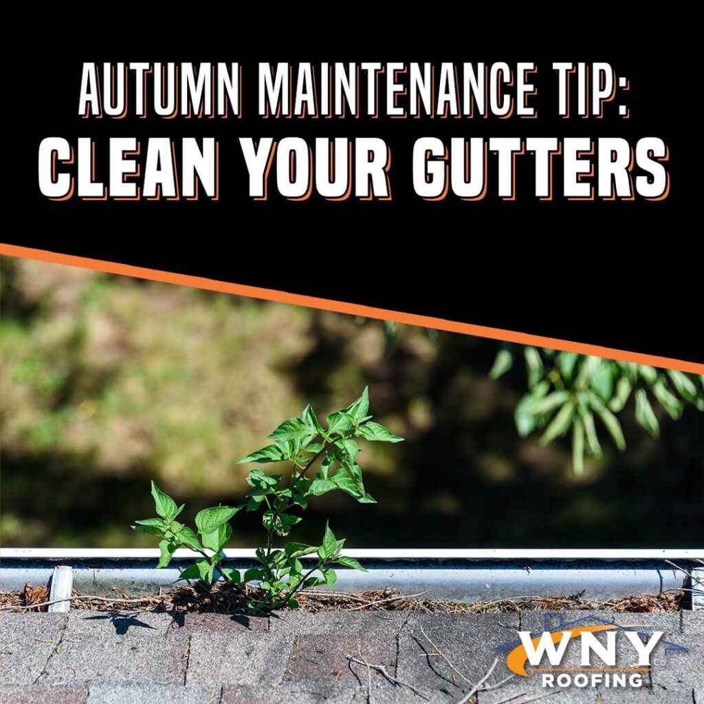 Autumn Maintenance Tip...