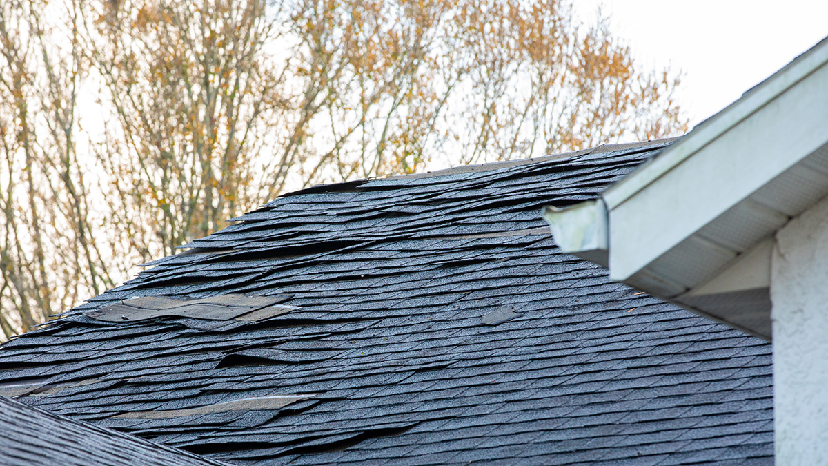 WNY Roof, WNY Roofing, roofing near me, roofers near me, Buffalo roofing, Buffalo roofers, damaged roof, sagging roof, roof repair