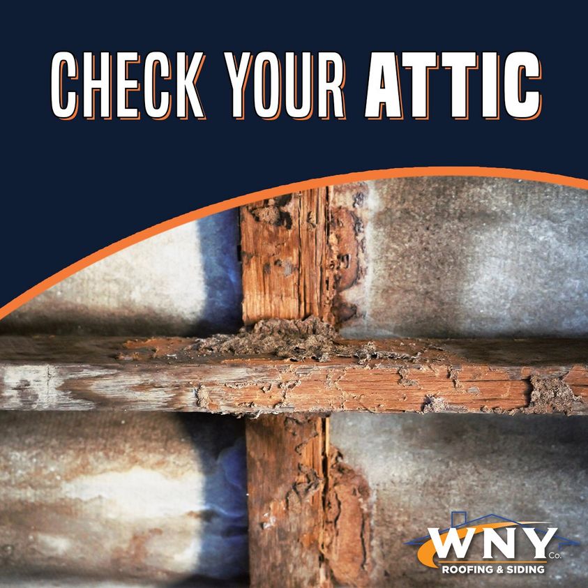 Check your Attic When it's Raining