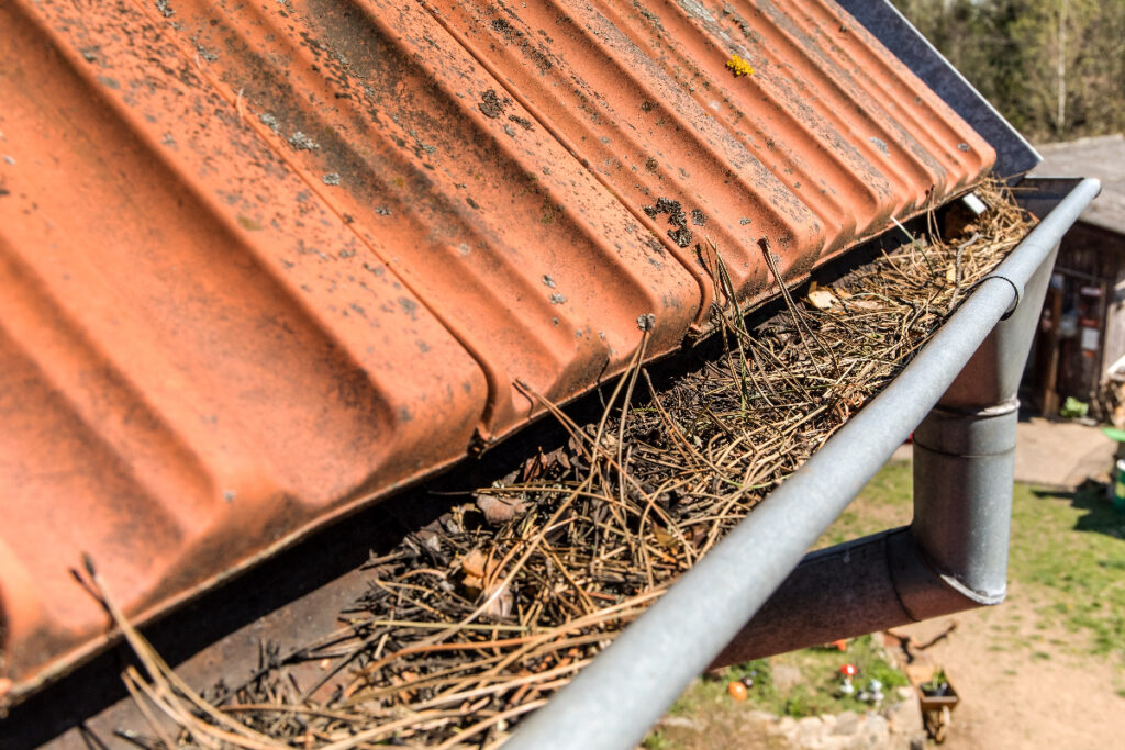 Granules in your gutters